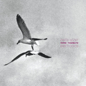 Terre Thaemlitz - Zeitkratzer . Terre Thaemlitz . Electronics (electronics (2)…