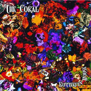 The Coral - Butterfly House