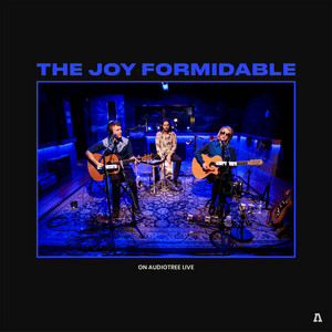 The Joy Formidable - The Joy Formidable On Audiotree Live