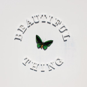 The Stone Roses - Beautiful Thing