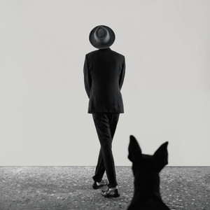 The Veils - Wide Winged Bird