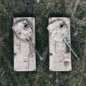 Thylacine - War Dance