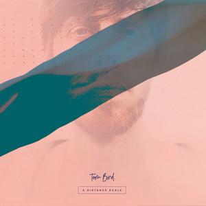 Tom Bird - À Distance égale