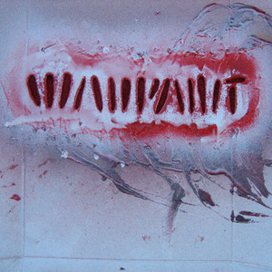 Warpaint - Shadows
