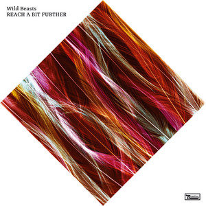 Wild Beasts - Reach A Bit Further