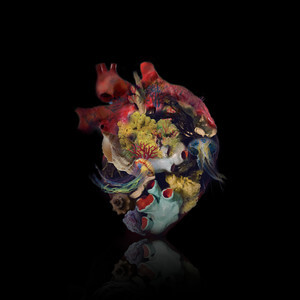 Denize - La Vague