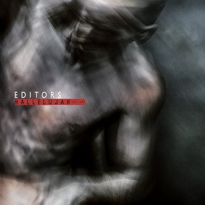 Editors - Hallelujah (so Low)