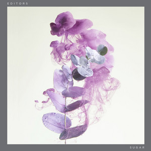 Editors - Sugar