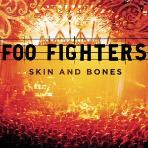 Foo Fighters - Skin And Bones (live)