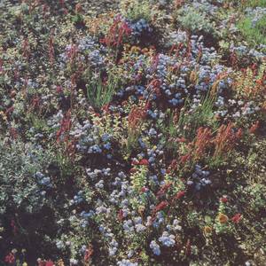 Motorama - Before The Road