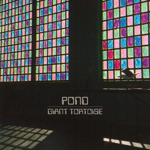Pond - Giant Tortoise