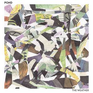 Pond - The Weather