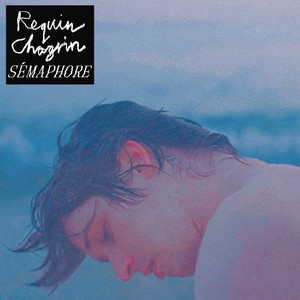 Requin Chagrin - Sémaphore