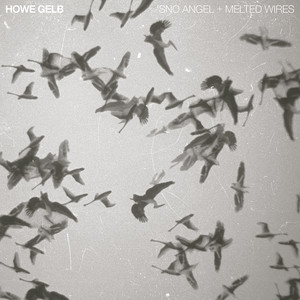 Howe Gelb - ‘sno Angel & Melted Wires Split 7″