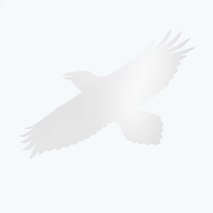 Sigur Rós - Dvergmál