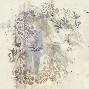 Sigur Rós - Hoppípolla (planet Earth Ii Mix)