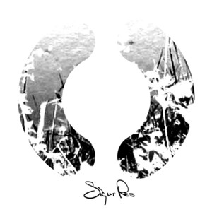 Sigur Rós - (untitled)