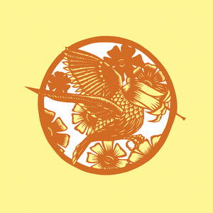 Okkervil River - Your Past Life As A Blast B/w Gold Faces