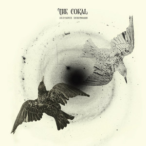 The Coral - Miss Fortune