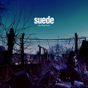 Suede - Don’t Be Afraid If Nobody Loves You
