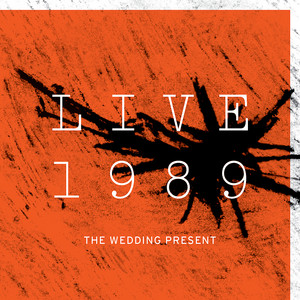 The Wedding Present - Live 1989