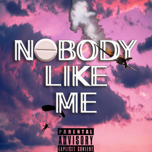 Quasi - Nobody Like Me