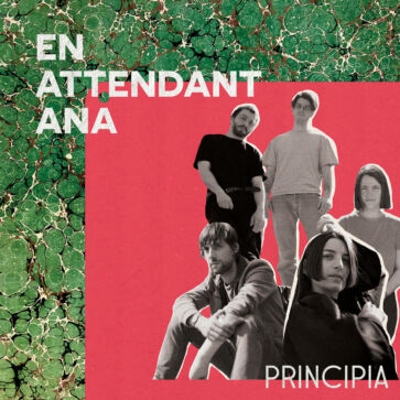 Enattendantana-principia