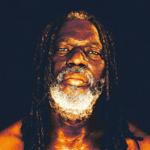 Tiken Jah Fakoly - Don’t Worry