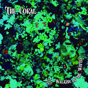 The Coral - Walking In The Winter
