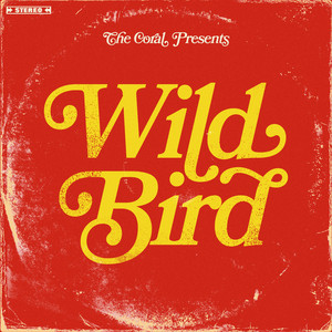 The Coral - Wild Bird