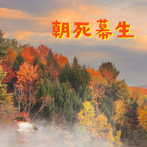 Yellow - 朝死幕生