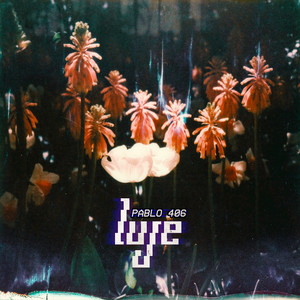 Luje - Pablo 406