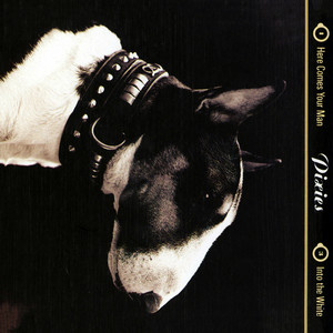Pixies - Here Comes Your Man