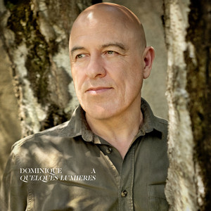 Dominique A - Quelques Lumières