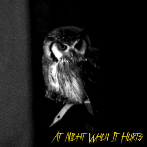 Mick Strauss - At Night When It Hurts (night Birds)