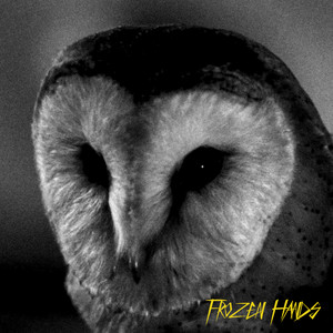 Mick Strauss - Frozen Hands (night Birds)