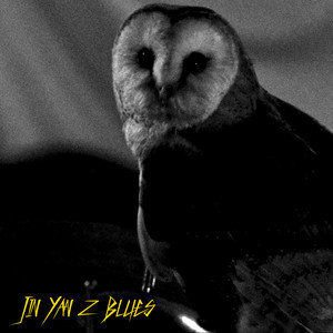 Mick Strauss - Jin Yan Z Blues (night Birds)