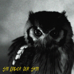 Mick Strauss - Sin Under Our Skin (night Birds)