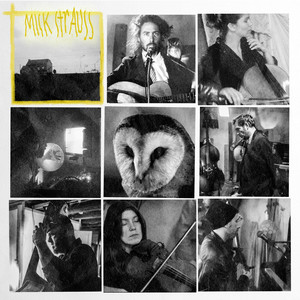 Mick Strauss - Southern Wave Night Birds